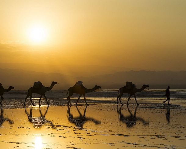 sm1gva_ET_x3599_g Dromedar caravan traversing Lake Assale at dusk, Danakil depression, of which the lowest point is situated 110m below sea level, Afar region, Ethiopia