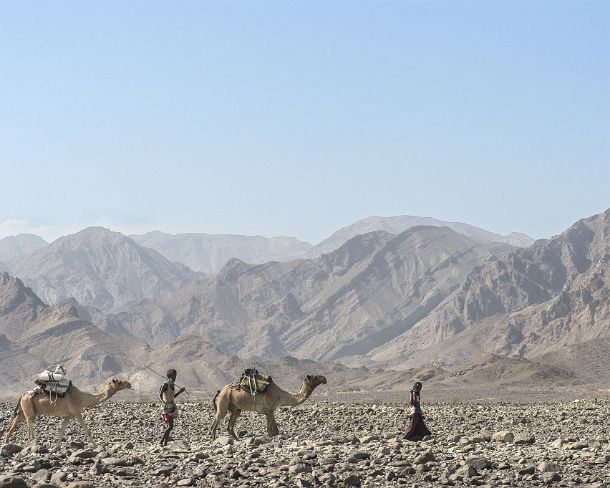 sm1gva_ET_cx3426_g Dromedary caravan traversing the Danakil depression, Afar region, Ethiopia