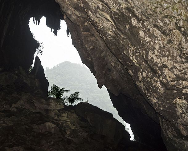 sm_deercave_0012 Looking outside through the mouth of Deer cave, Gunung Mulu National Park, Sarawak, Borneo, Malaysia