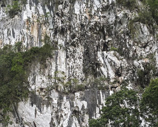 sm_deercave_0037 Rock formation consisting of Melinau limestone, Gunung Mulu National Park, Sarawak, Borneo, Malaysia