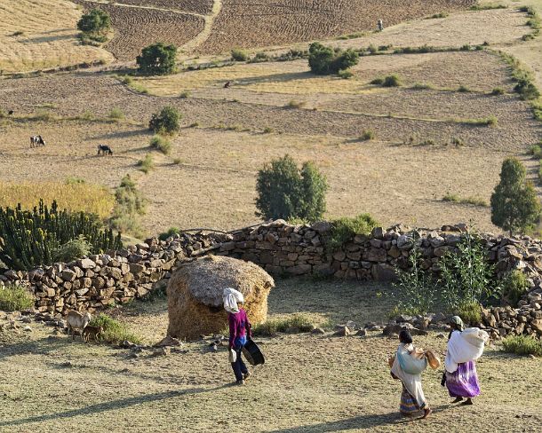 sm1gva_ET_cx1691_g Farmer family returning home from field work, Hawzien plain, Tigray, Ethiopia