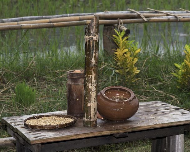 smLuangPN1490 Selection of healthy grains for replanting by soaking them in a salt water bowl, traditional rice farming in the rice farrm of the community enterprise Living...