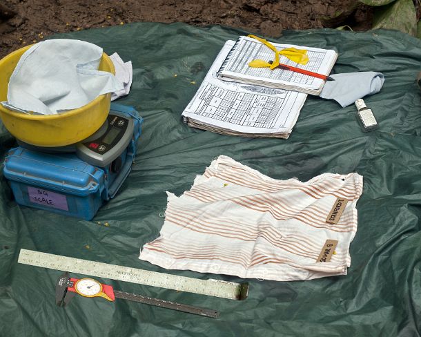 sm_peN803 Field preparations for the recording of the vitals of a Macaw chick,Tambopata Macaw Project, Tambopata Research Center (TRC), Tambopata Nature Reserve, Madre de...