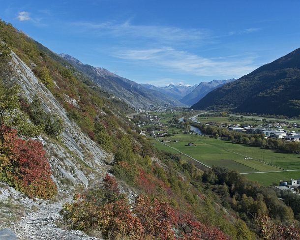 smGVA_MSC_4s4398_g Fire red smoke bushes in the the rocky steppes during automn in between Susten and Niedergampel, Valais, Switzerland